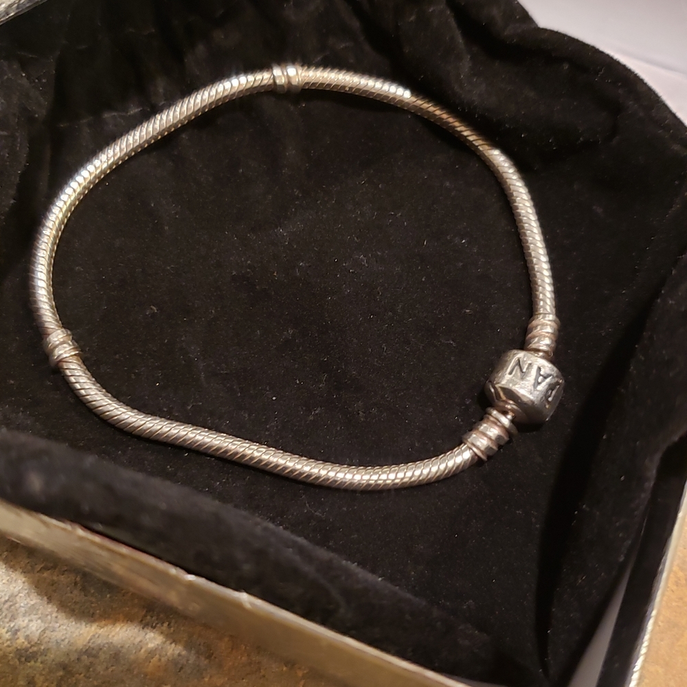 Sold! Pandora Bracelet snake chain